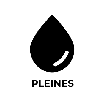 Pleines